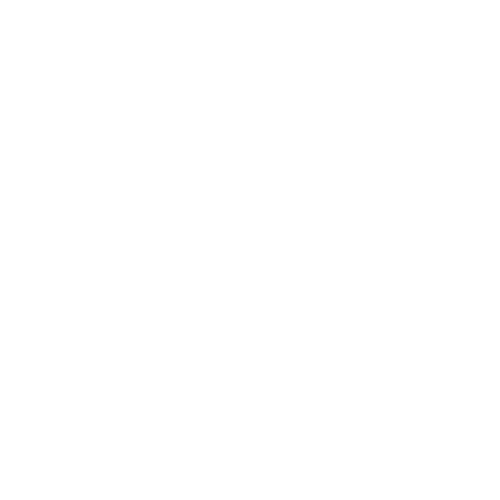 logo bianco bahlsen