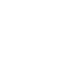 Wielton-biale